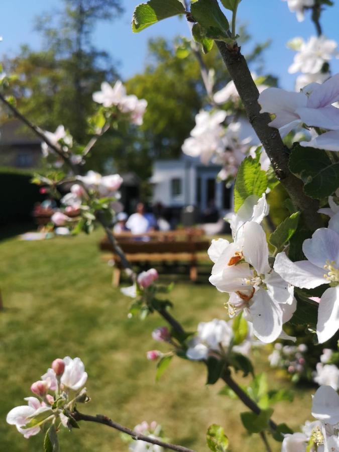 B&B De Koffietuin Бикберген Экстерьер фото